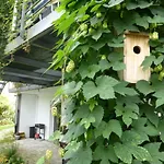 Apartment Nest