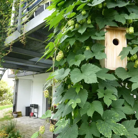 Apartment Nest