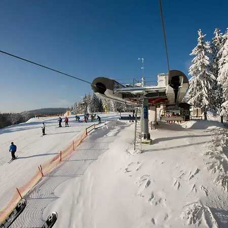 Nest Apartment Winterberg