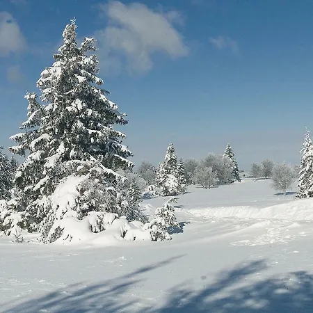 Lägenhet Nest Winterberg