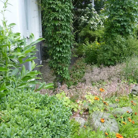 Nest Βίντερμπεργκ