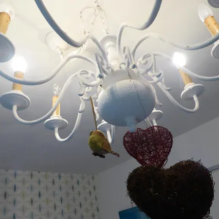 Nest *