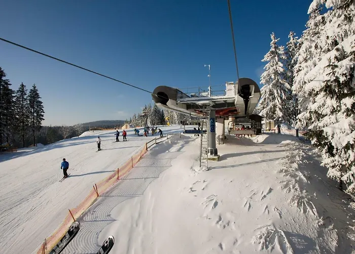 Nest Lejlighed Winterberg