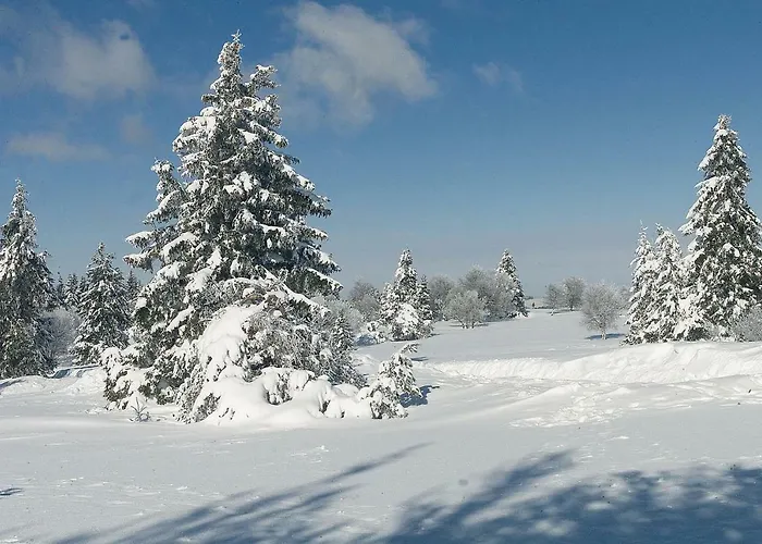 Lejlighed Nest Winterberg